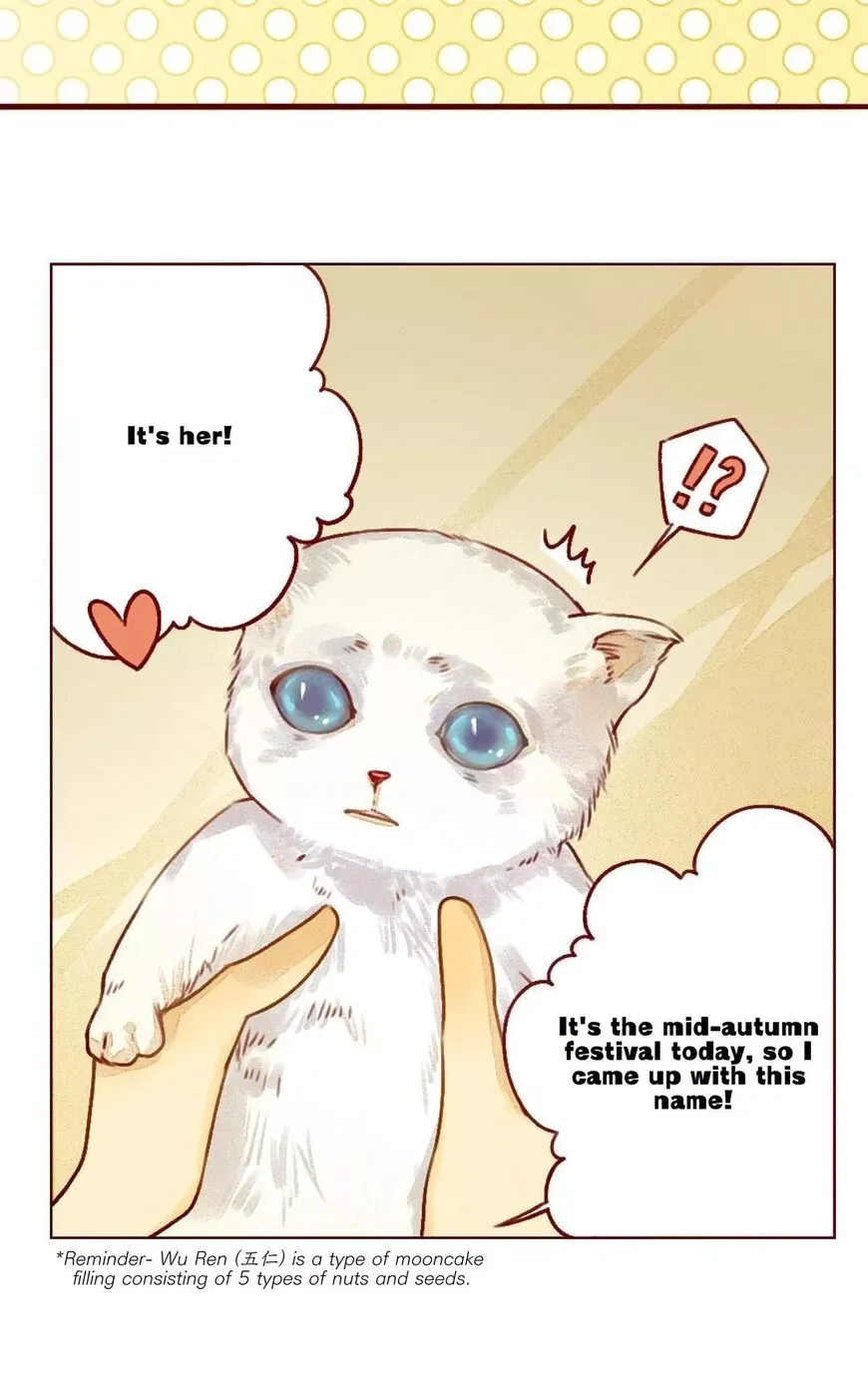 That Year, Under the Starry Sky Chapter 27 page 9