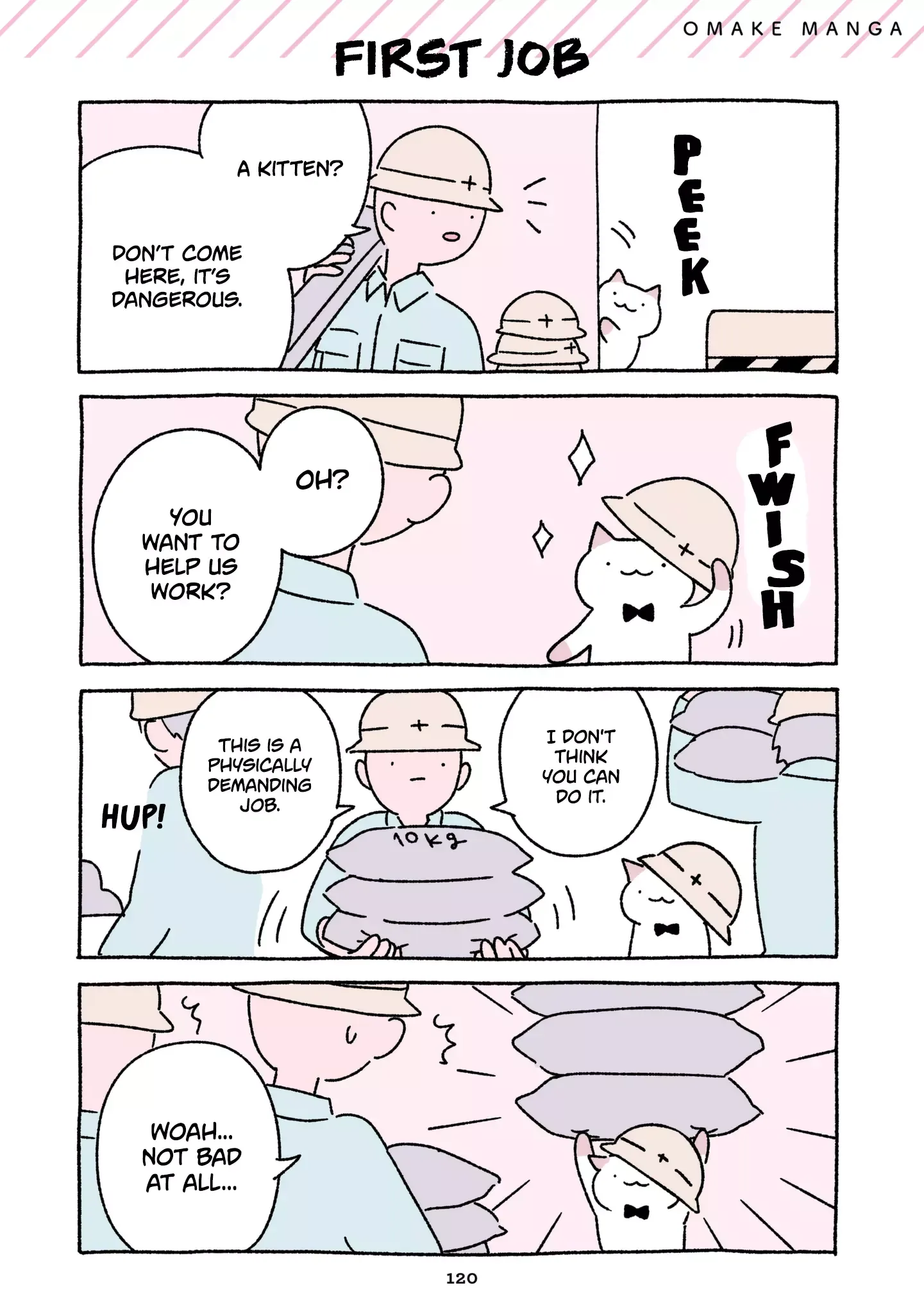 Wonder Cat Kyuu-chan Chapter 105.5 page 13