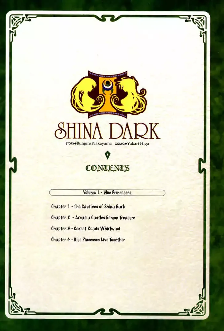 Shina Dark ~Kuroki Tsuki no Ou to Souheiki no Himegimi~ Chapter 1 page 7