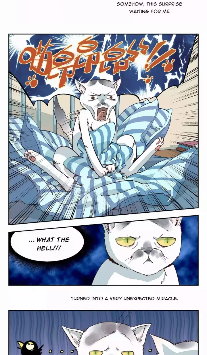 Somewhere In Time Chapter 1 page 15
