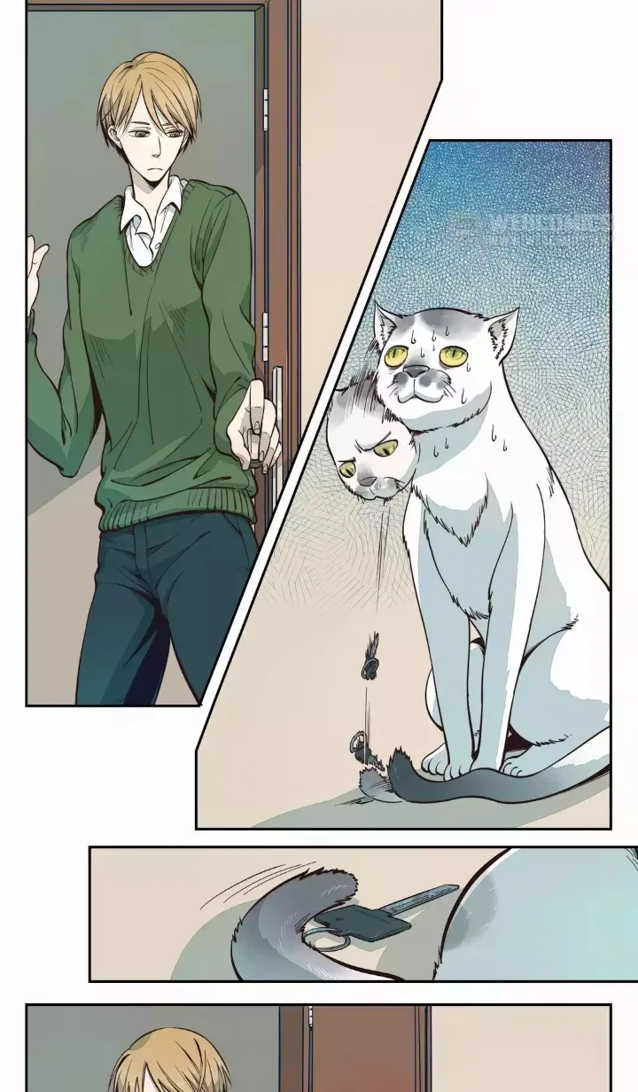Somewhere In Time Chapter 3 page 1