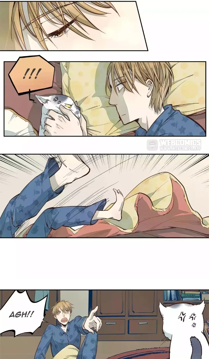 Somewhere In Time Chapter 8 page 4