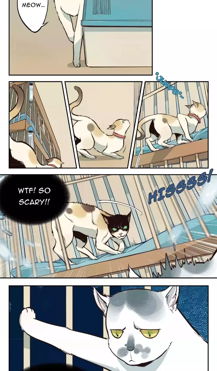 Somewhere In Time Chapter 10 page 3
