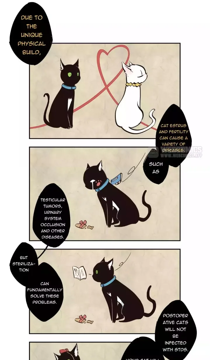 Somewhere In Time Chapter 11 page 1