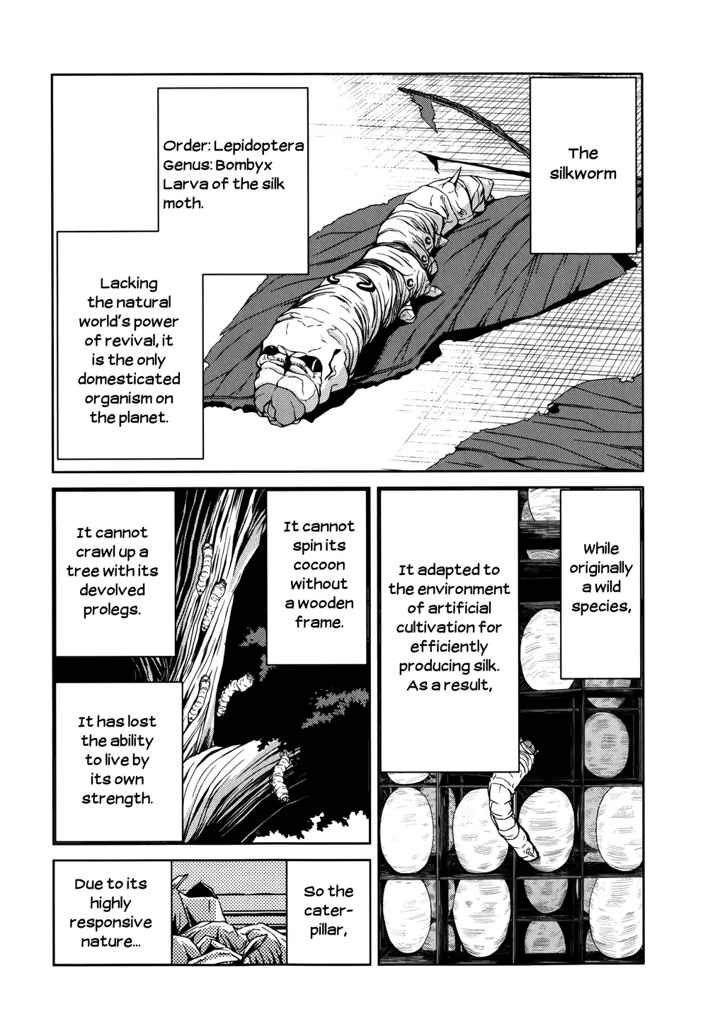 Caterpillar Chapter 12 page 5