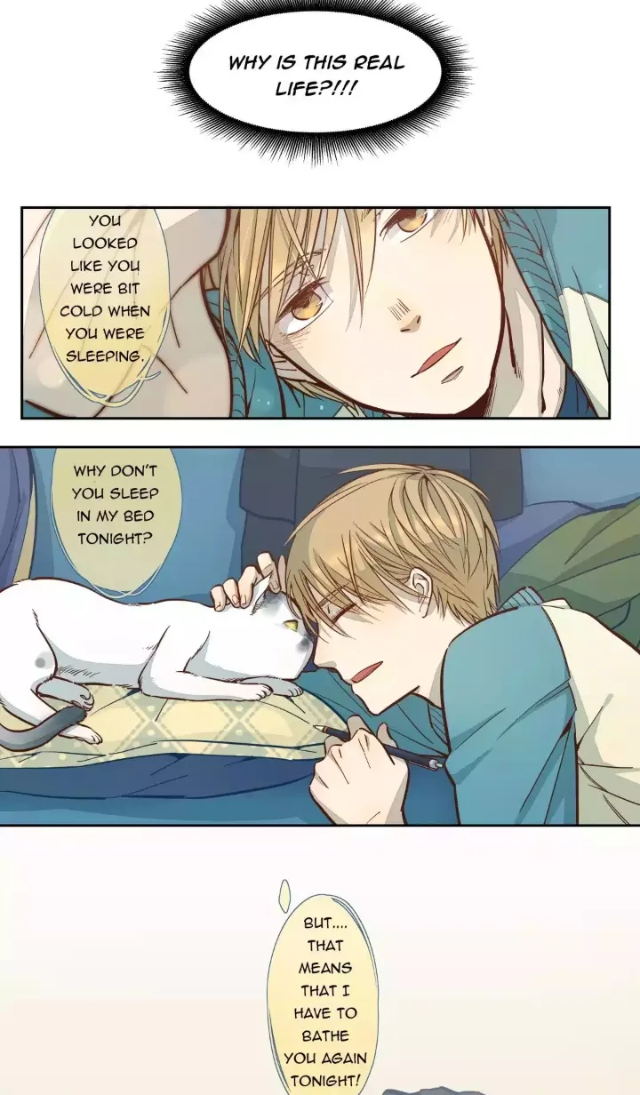 Somewhere In Time Chapter 15 page 8