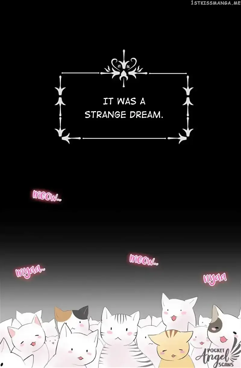 Cats Bride Chapter 0 page 1