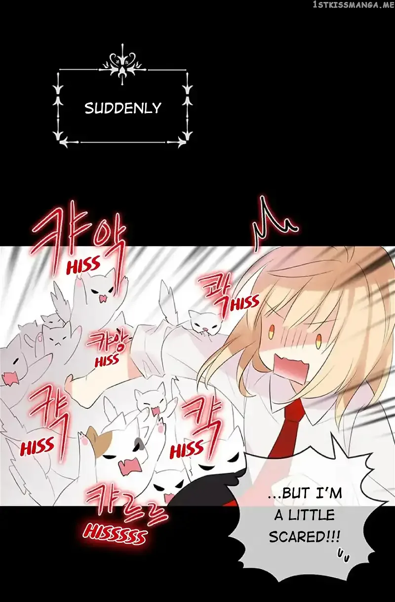 Cats Bride Chapter 0 page 3