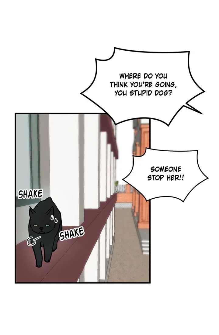 Cats Bride Chapter 2 page 49