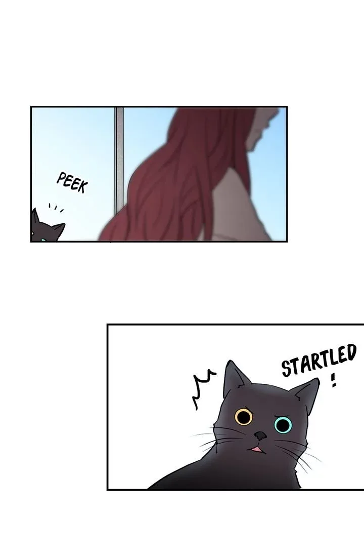 Cats Bride Chapter 2 page 46