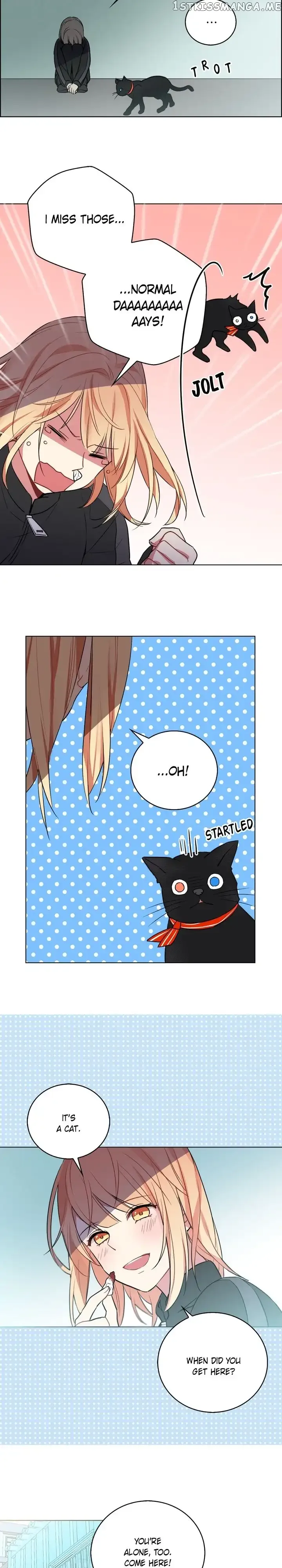 Cats Bride Chapter 3 page 14