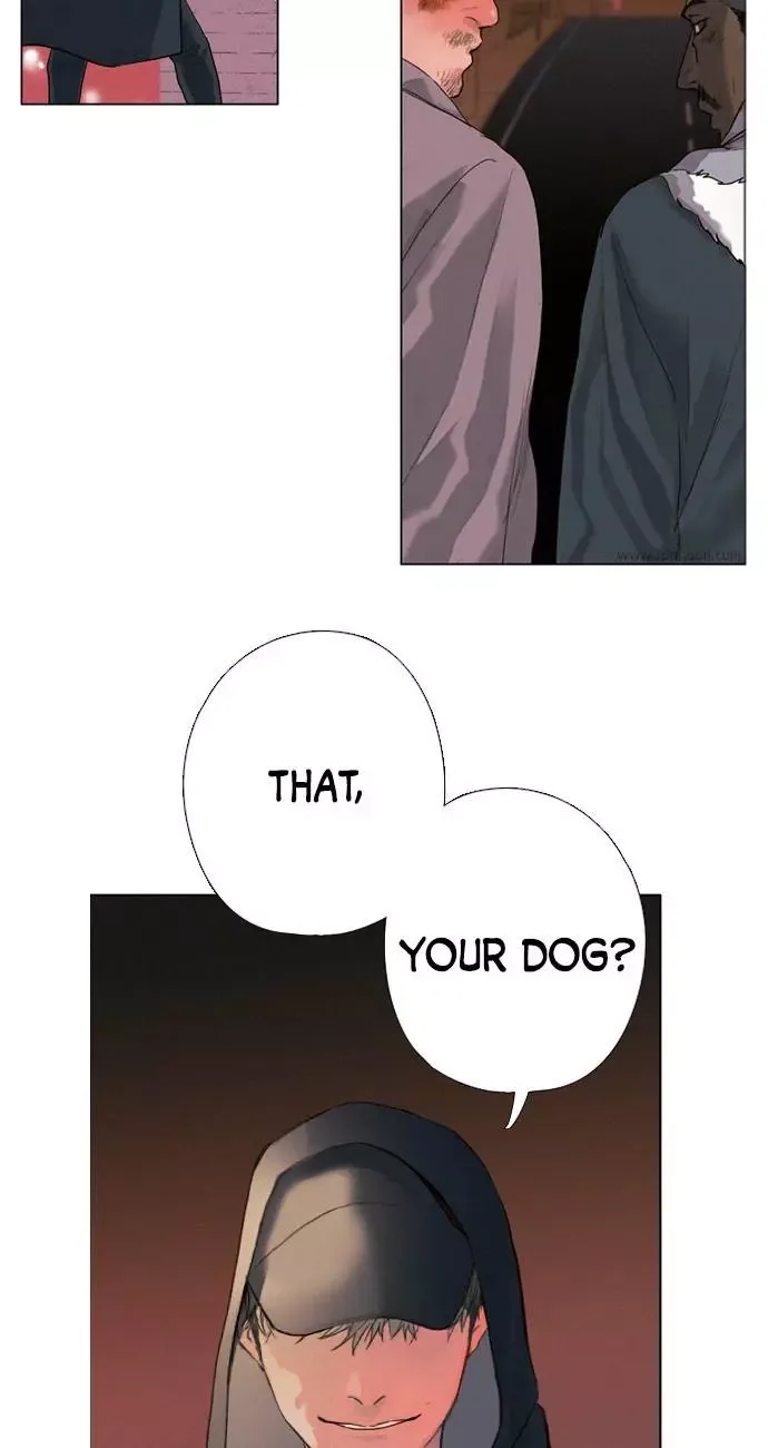 Coffin Jackson Chapter 6 page 15