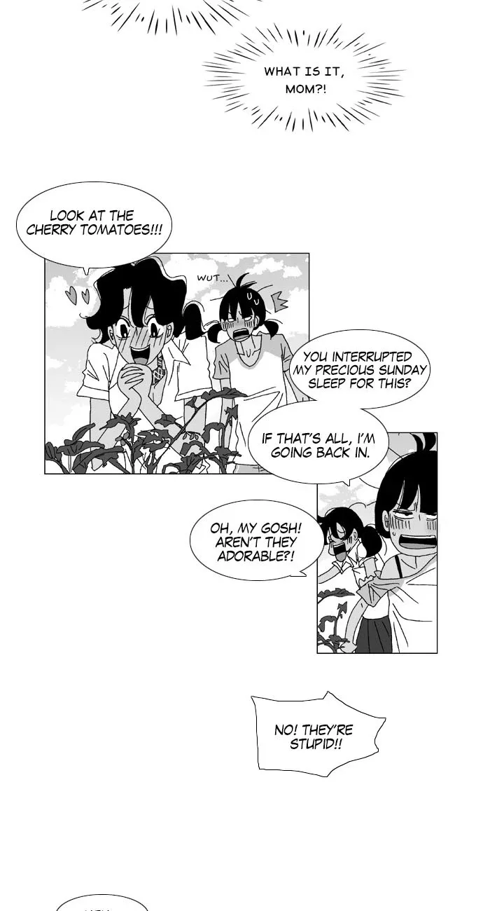 A Stranger in My House Chapter 27 page 5