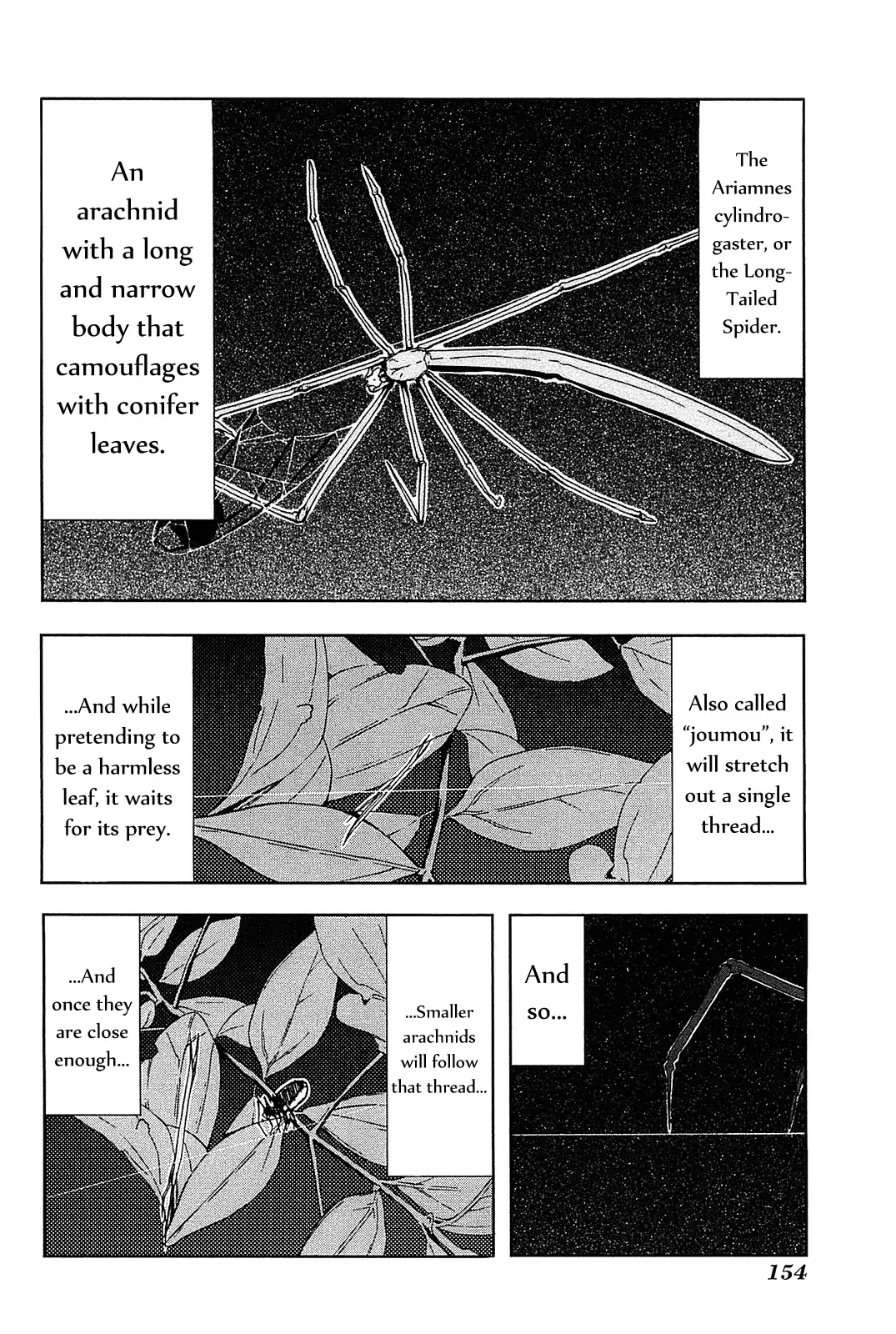 Arachnid Chapter 5 page 4