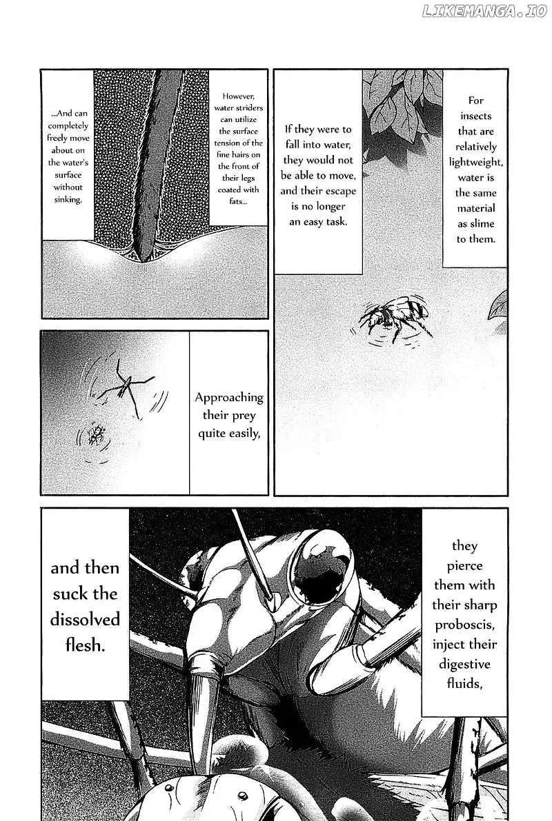 Arachnid Chapter 19 page 34