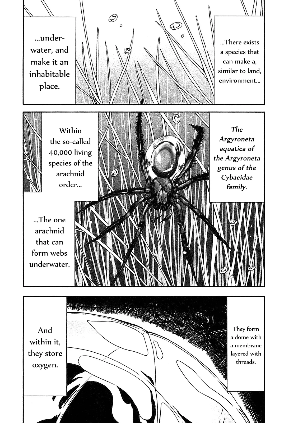 Arachnid Chapter 20 page 14