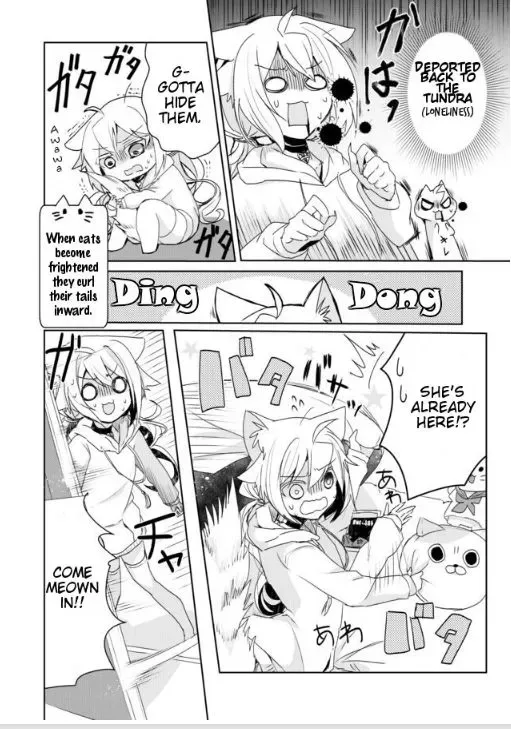 Nekomusume Shoukougun Chapter 3 page 4