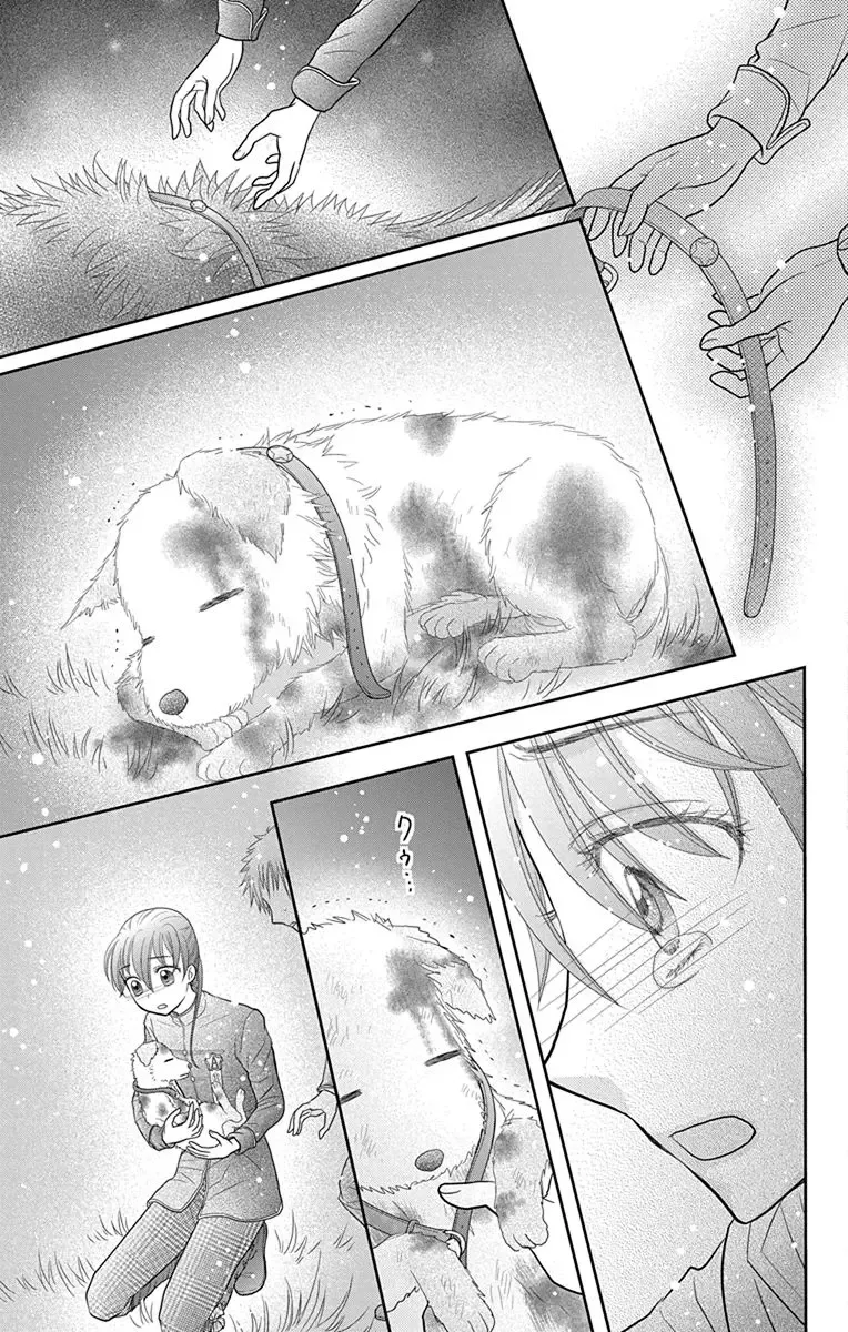 Kageki no Kuni no Alice Chapter 16 page 24