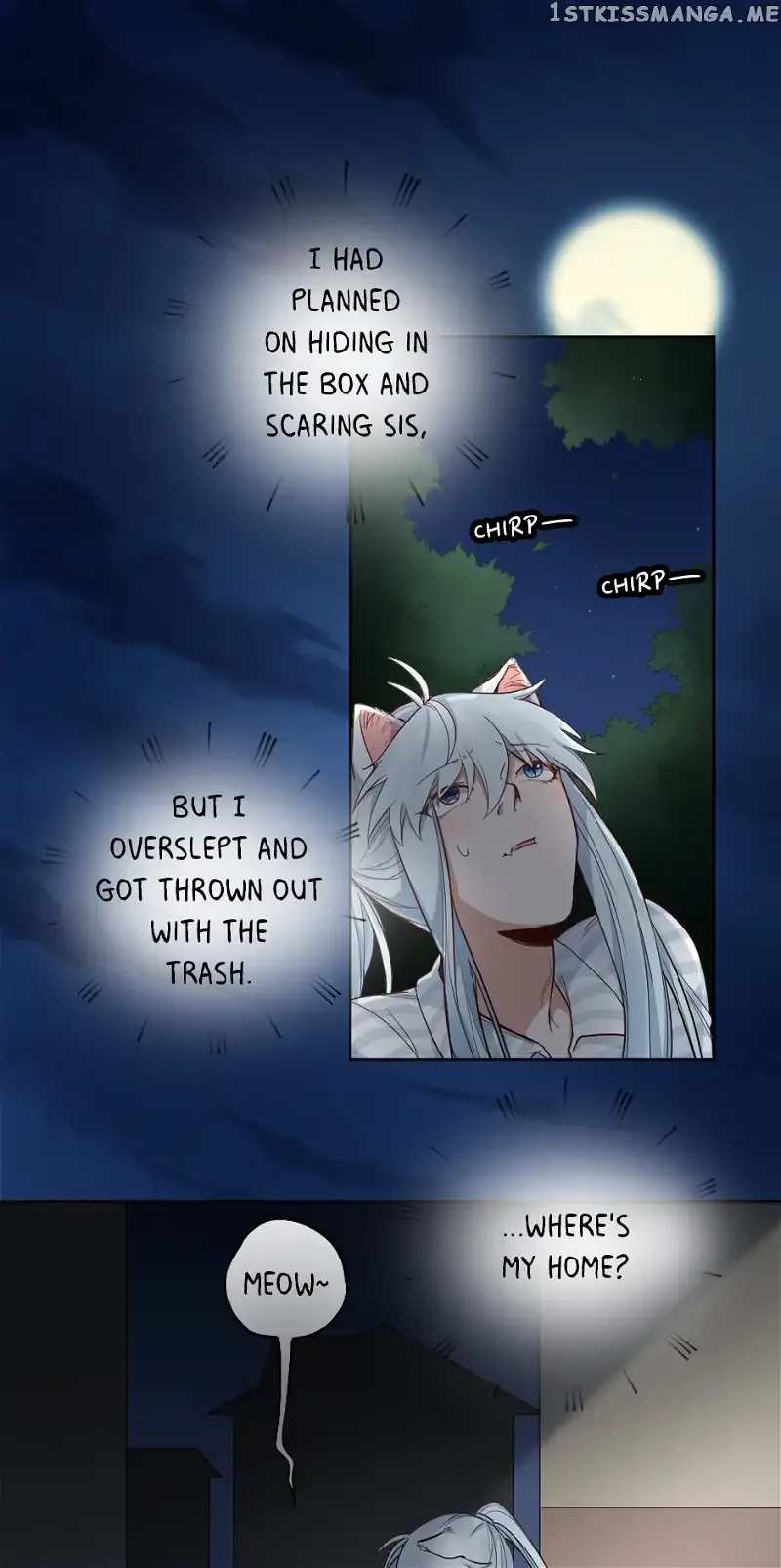 Kitty Boy Chapter 12 page 14