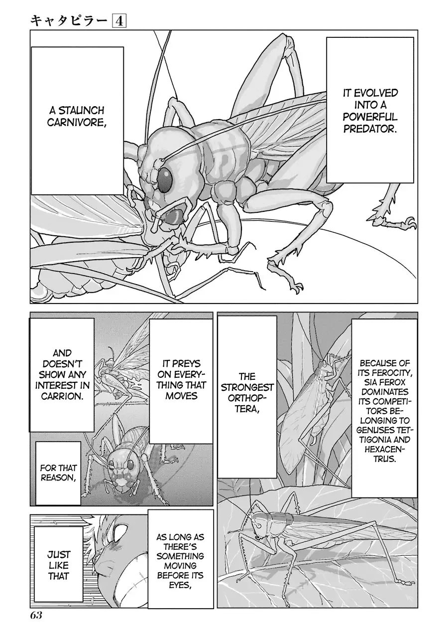 Caterpillar Chapter 27 page 15