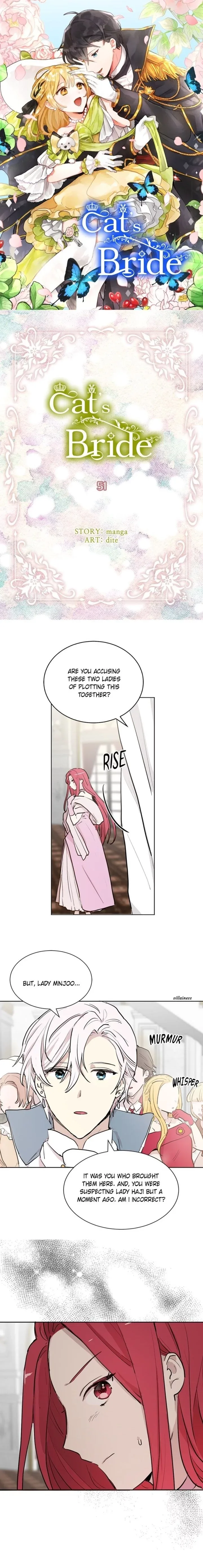 Cats Bride Chapter 51 page 1