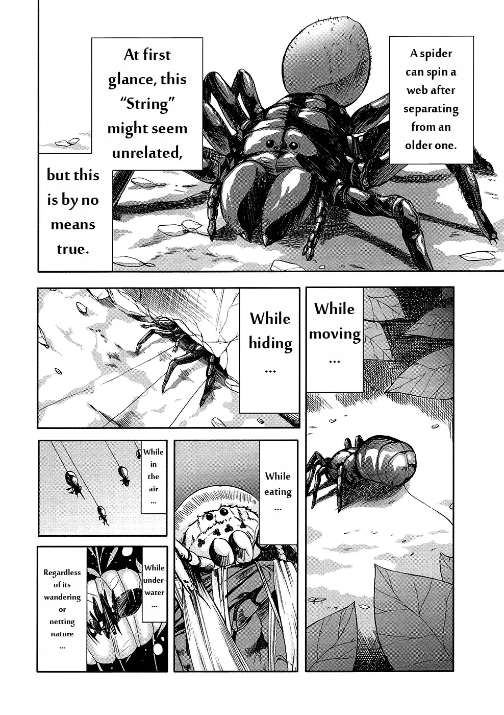 Arachnid Chapter 31 page 37
