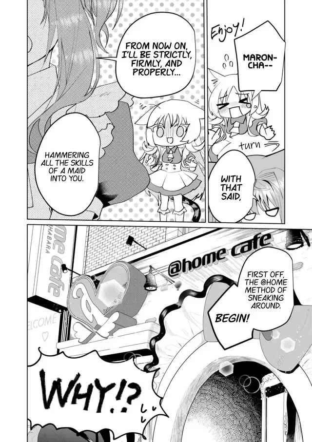 Nekomusume Shoukougun Chapter 60 page 12