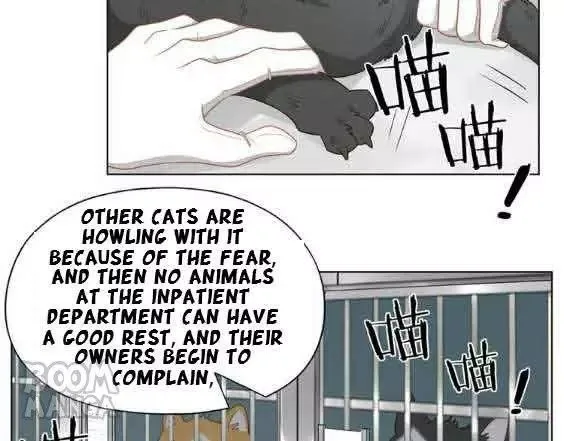 Kitty Boy Chapter 58 page 42