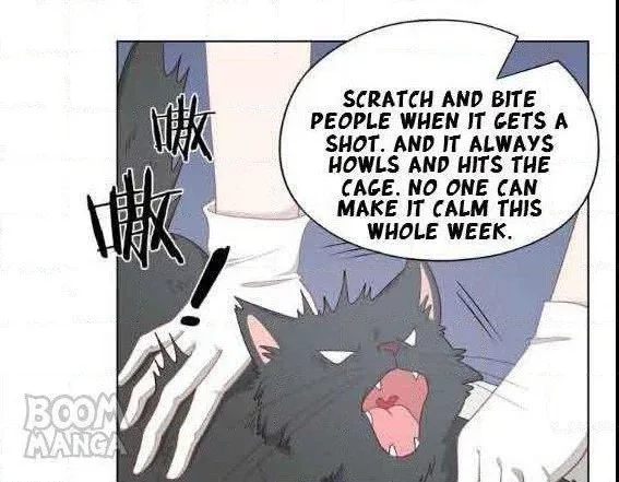 Kitty Boy Chapter 58 page 41