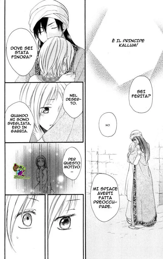 Sabaku no Harem Chapter 25 page 30