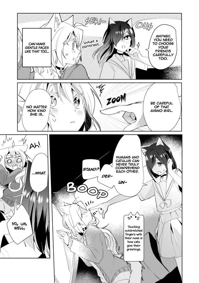 Nekomusume Shoukougun Chapter 37 page 11