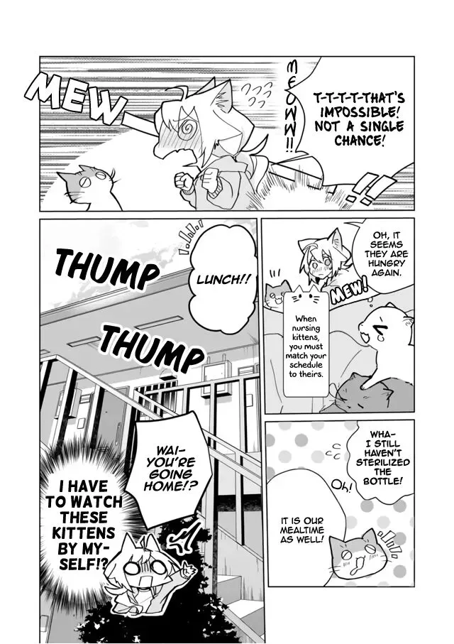 Nekomusume Shoukougun Chapter 71 page 12