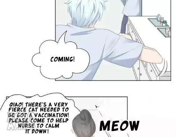 Kitty Boy Chapter 61 page 11