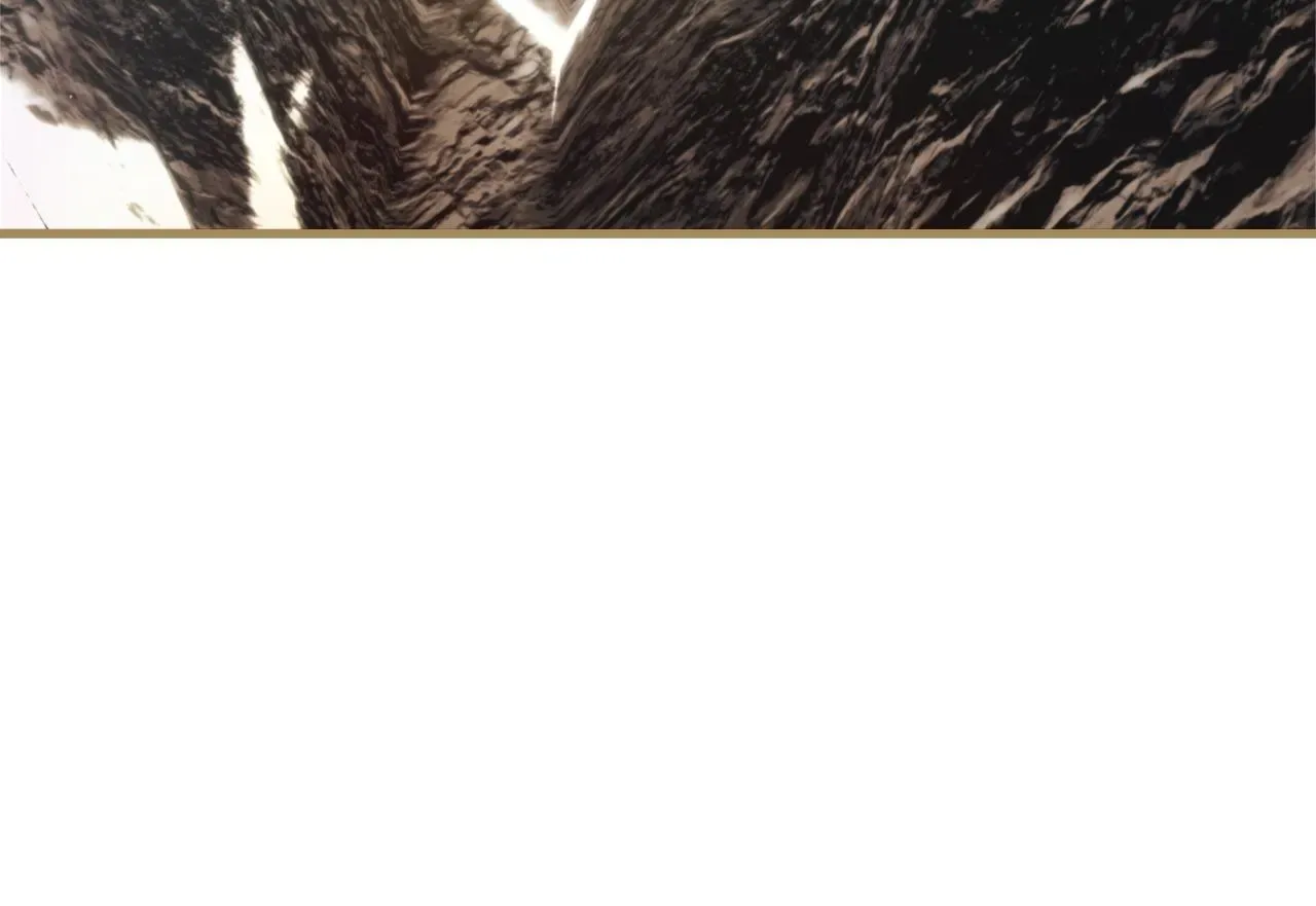 The Saintess And The Curse Chapter 72 page 49