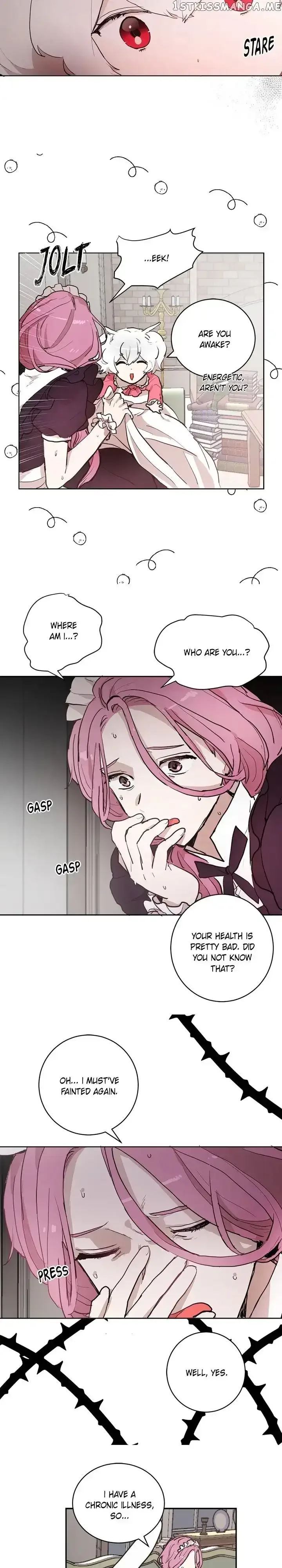 Cats Bride Chapter 79 page 2