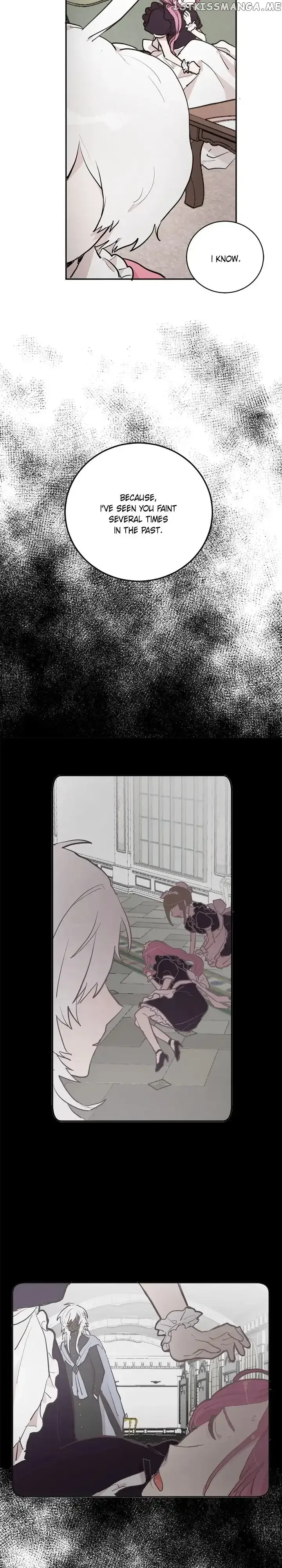 Cats Bride Chapter 79 page 3