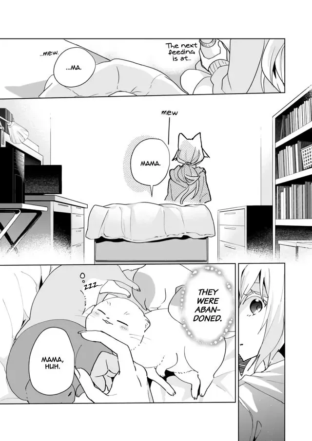 Nekomusume Shoukougun Chapter 72 page 5