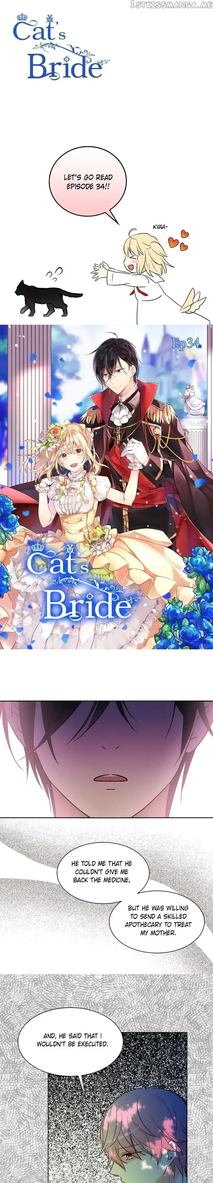 Cats Bride Chapter 34 page 1