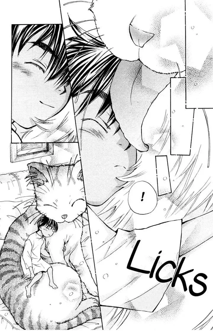 Boku wo Tsutsumu Tsuki no Hikari Chapter 78 page 31