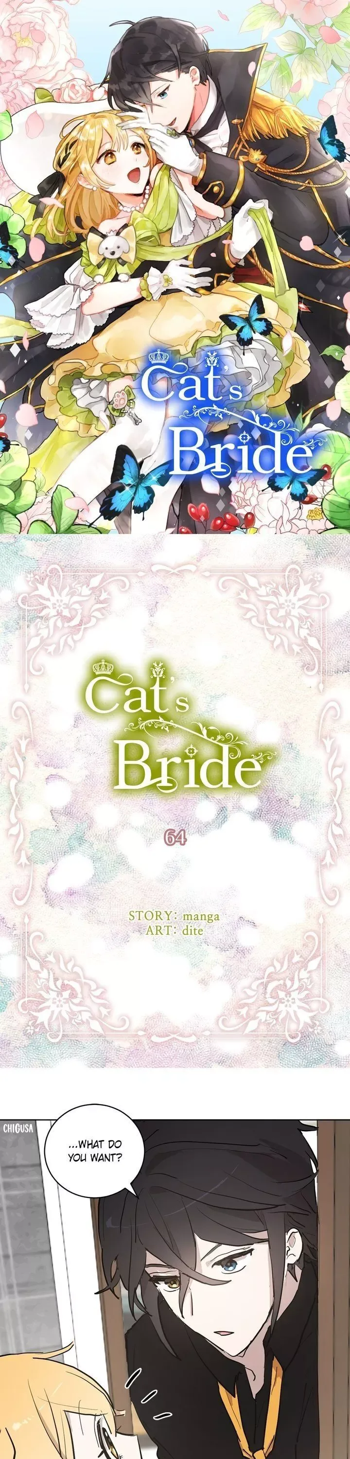 Cats Bride Chapter 64 page 1