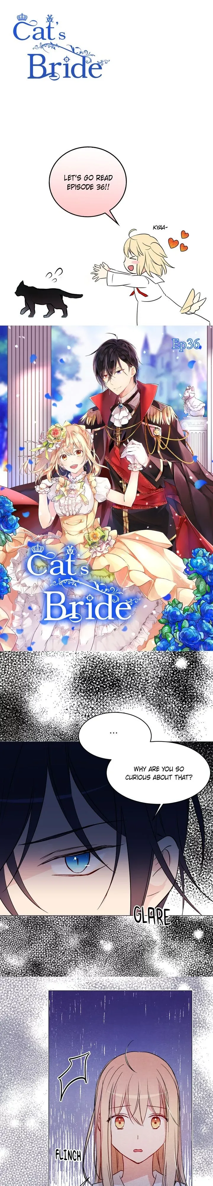 Cats Bride Chapter 36 page 1