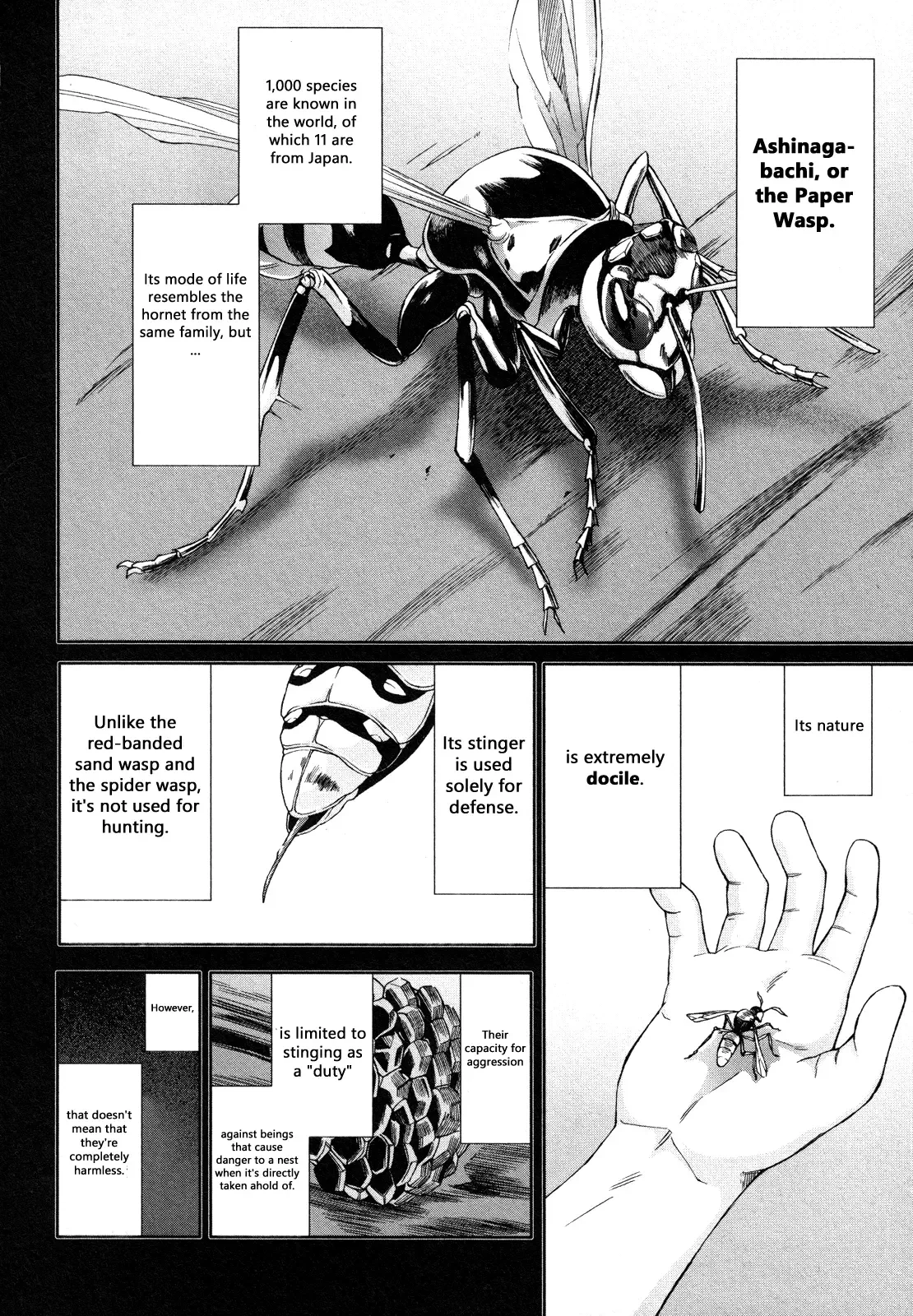 Arachnid Chapter 64 page 22