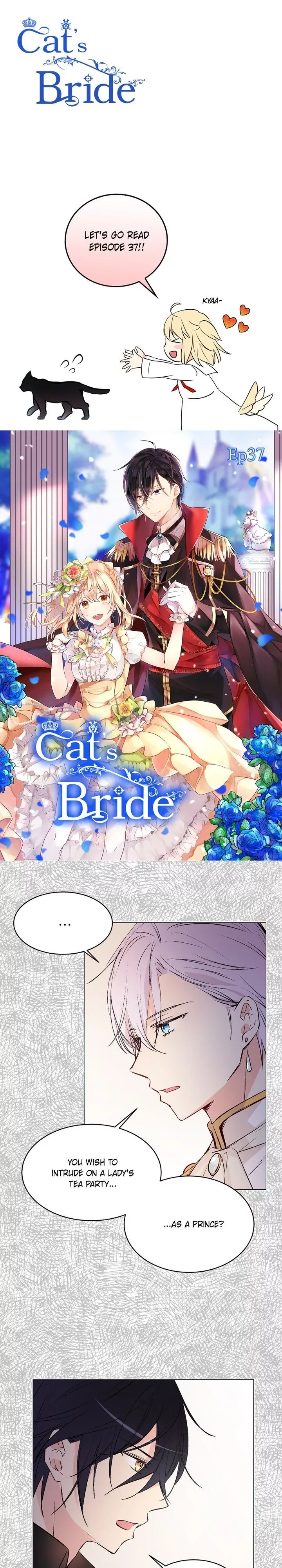 Cats Bride Chapter 37 page 1