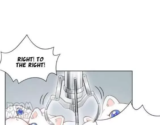 Kitty Boy Chapter 66 page 37