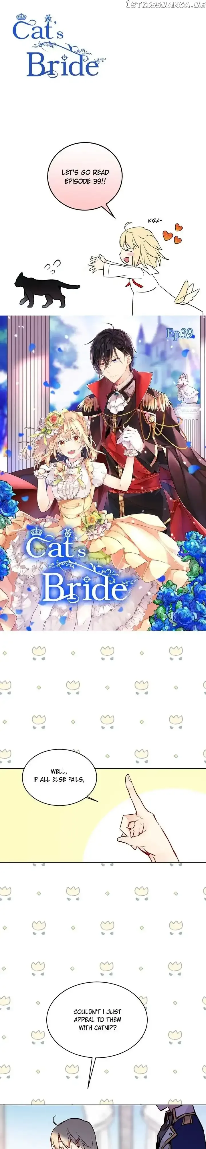 Cats Bride Chapter 39 page 1