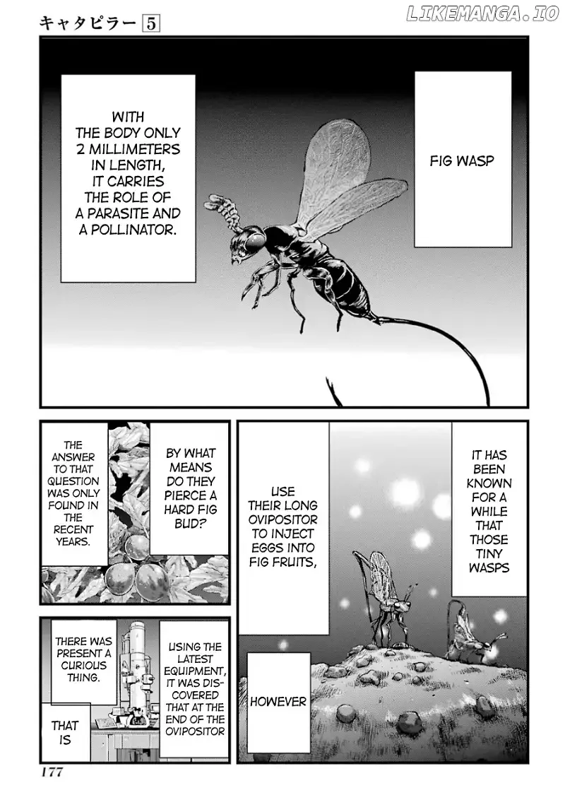 Caterpillar Chapter 41 page 2