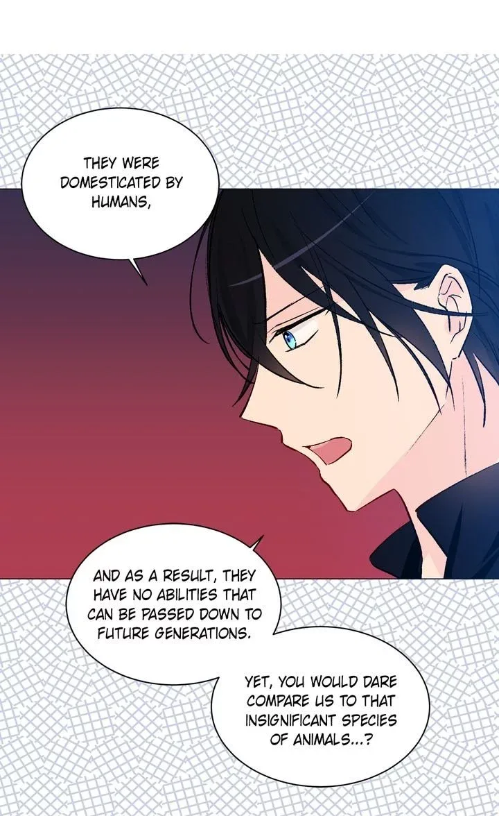 Cats Bride Chapter 41 page 4