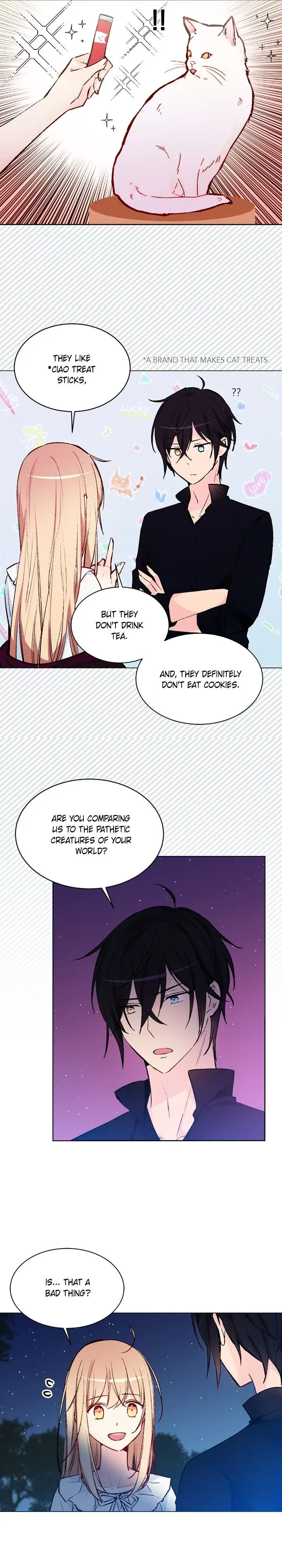 Cats Bride Chapter 41 page 3