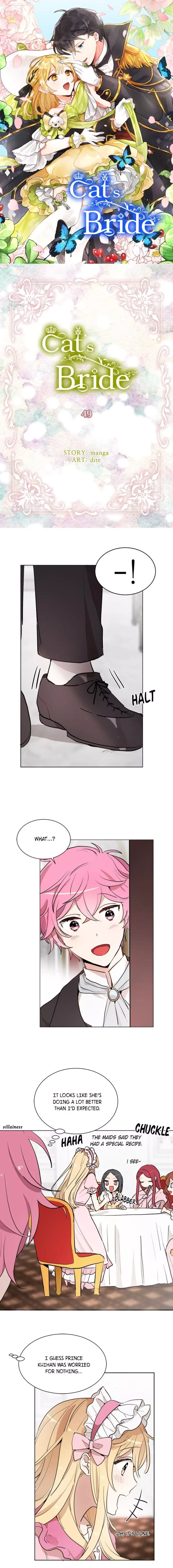Cats Bride Chapter 49 page 1