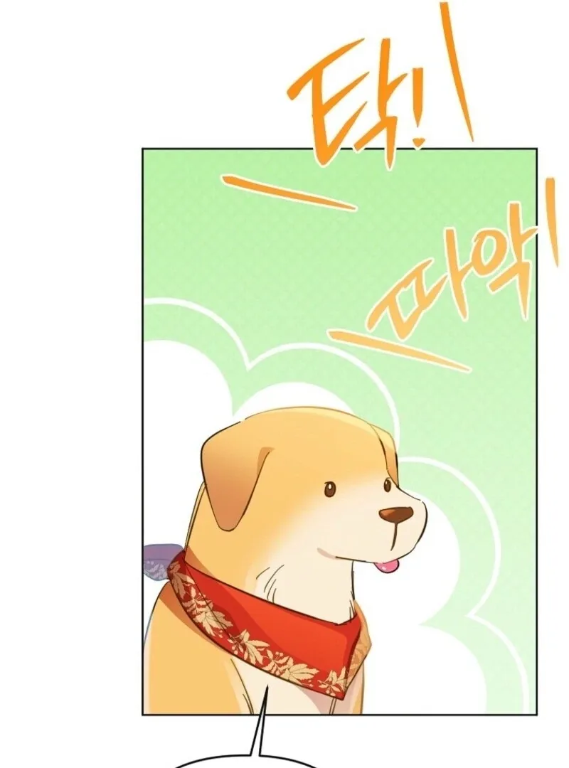 I Thought You Were A Time-Limited Husband Chapter 67 page 71